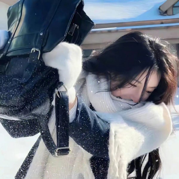 潘金莲复仇记 海报